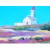 Belle ile Phare des Poulains 38x55cm
