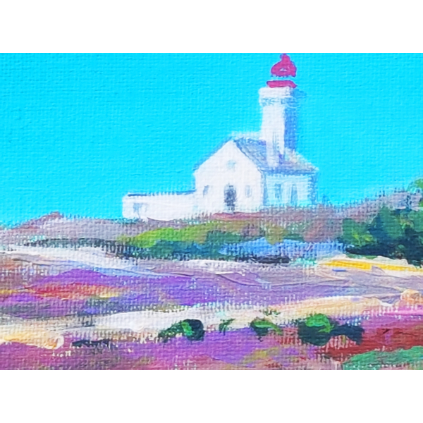 Belle ile Phare des Poulains 38x55cm