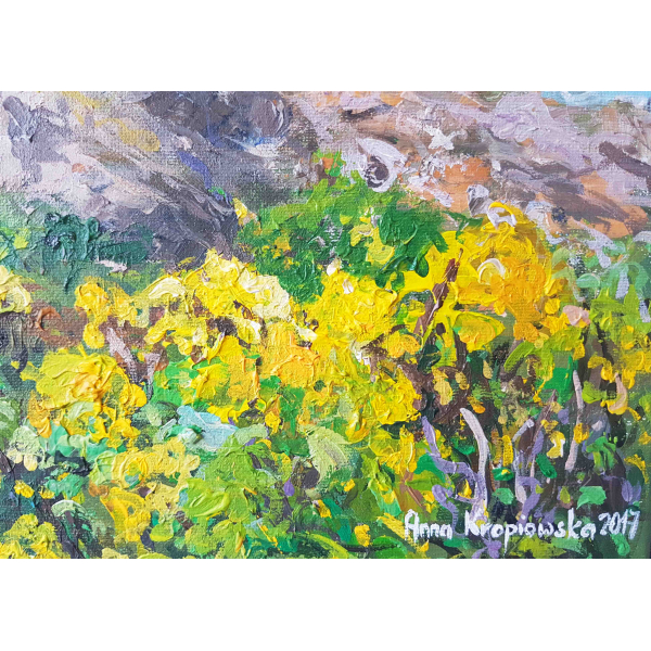 Port Gwin Zegal 33x46cm