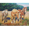 Horses of Bangor, Belle ile 24x30cm