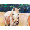 Horses of Bangor, Belle ile 24x30cm