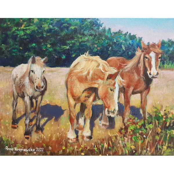 Horses of Bangor, Belle ile 24x30cm
