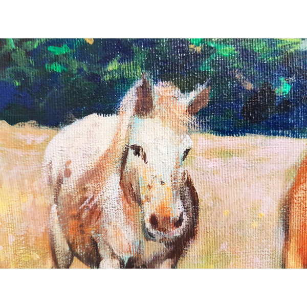 Horses of Bangor, Belle ile 24x30cm